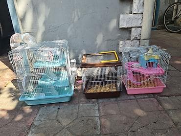 Heyvanlar üçün mallar: Qefesler satilir Qehveyi-20azn Cehrayi-20azn Yasil-30azn Goy-40azn — 2