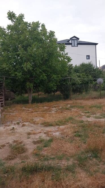 mərdəkanda torpaq satılır: 8 sot, Kupça (Çıxarış) — 1