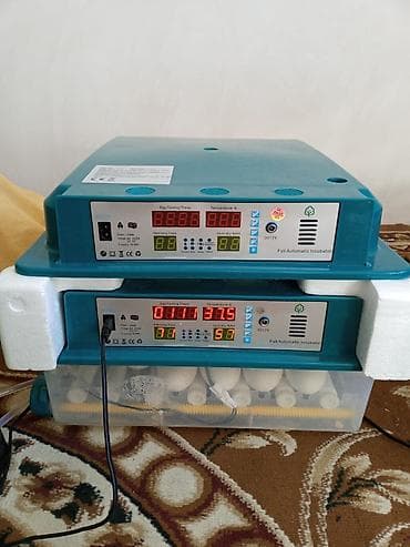 Bu tam avtomatik inkubator yumurtaların inkubasiyası üçün nəzərdə — 4
