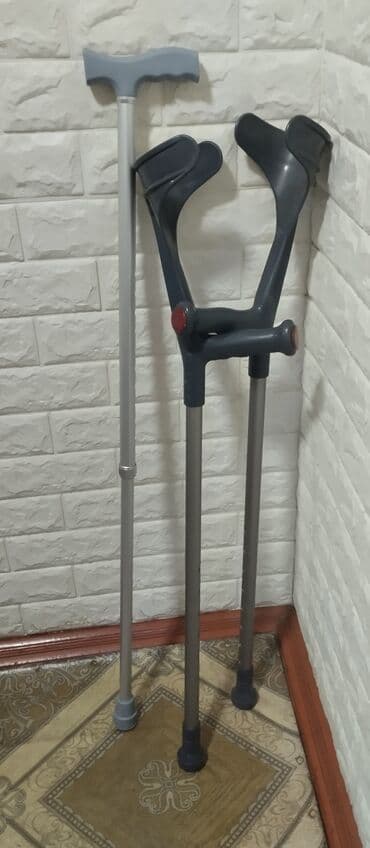 gul rəfi: Tezedi istifade olunmayıb — 1