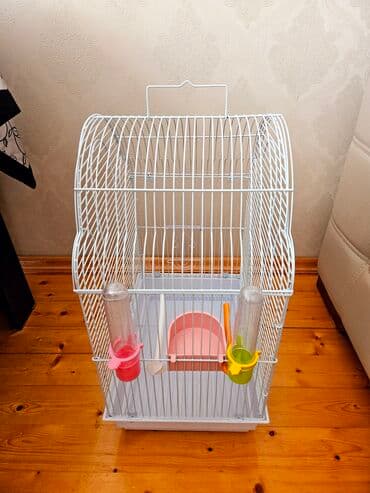 yarasa yuvasi aliram: Qəfəs — 2