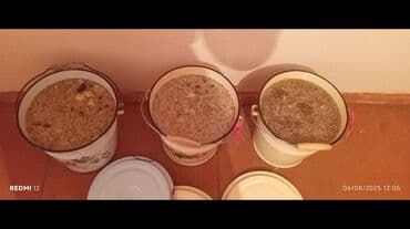 Tibbi geyim: Cəlilabad rayon Tezekend kendi isteyen olsa elaqe saxlasin bu gün — 1