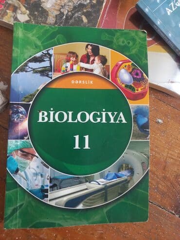 6 ci sinif ingilis dili test kitabi: Qarışıq — 16