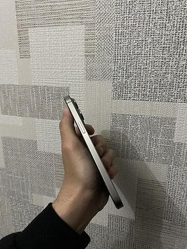 IPhone 15 Pro Max, 256 GB, Natural Titanium — 3