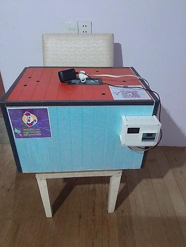 İnkubatorlar: Azərbaycanda inkubator Aparatlarinin Rəsmi satiş mərkəzi Rasif — 1