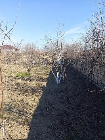 xocasen kiraye evler: Mingəçevir, 1000 kv. m, 1 otaqlı, Hovuzsuz, Su — 5