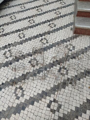 хлорное железо бишкек: 1əd 5 man — 1