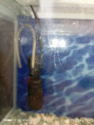 Heyvanlar üçün mallar: Dördbucaq akvarium, Boş, 10 l, Ünvandan götürmə — 3