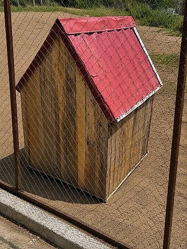 Heyvanlar üçün mallar: Taxta it evi - Material: möhkəm taxta panellər, hava şəraitinə — 1
