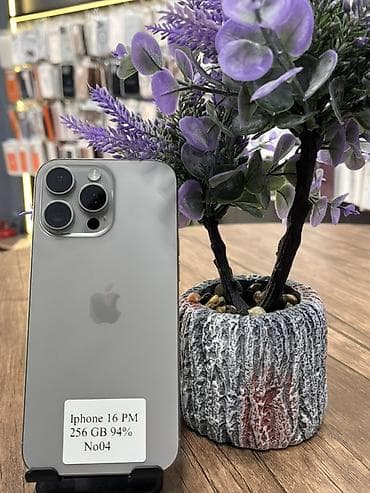 iphone 5s telefon: IPhone 16 Pro Max, 256 GB, Gümüşü, Face ID — 3