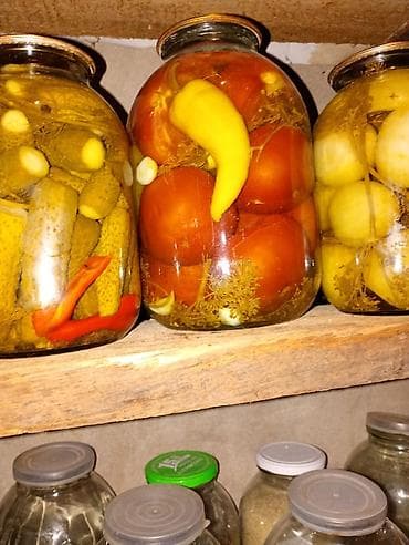 Şirniyyat məhsulları: Ev şəraitində hazırlanmış turşu çeşidləri - Xiyar turşusu – sarımsaq — 1