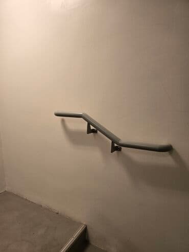 ev dam örtükləri: Hər növ məhəccər qoruqluq perilla — 3