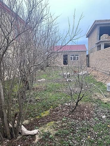 4 sot, Tikinti, Mülkiyyətçi, Kupça (Çıxarış)