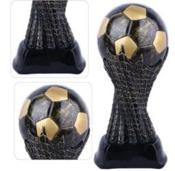 uwaq wekilleri: Kubok Ho-81341 — 2