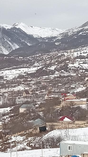 Tikinti, Mülkiyyətçi, Kupça (Çıxarış)