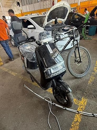 zigzag moped: - SAIGE — 5
