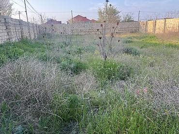 cıdır düzü: 5 sot, Tikinti, Barter mümkündür, Bələdiyyə — 4