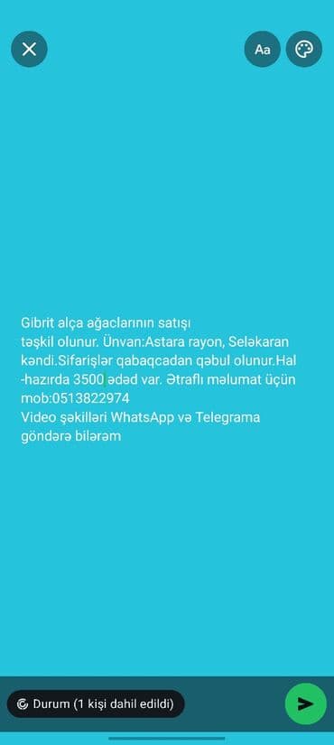 dekorativ ağac topiariya: Gibrit alça ağaclarının satışı təşkil olunur. Ünvan:Astara rayon — 1