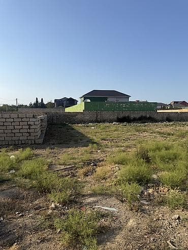 saray torpag: Tikinti — 4