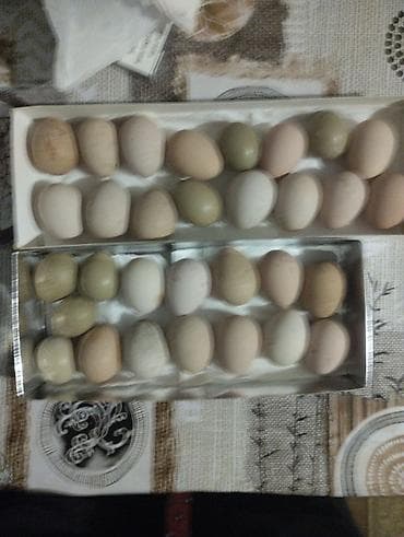 ot bicenler: Məhsul: Təbii ev toyuğu yumurtaları Təsvir: - Kənd şəraitində — 4