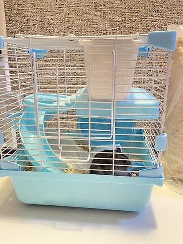 Hamster üçün tam dəst qəfəs - Rəng: açıq mavi altlıq, ağ metal