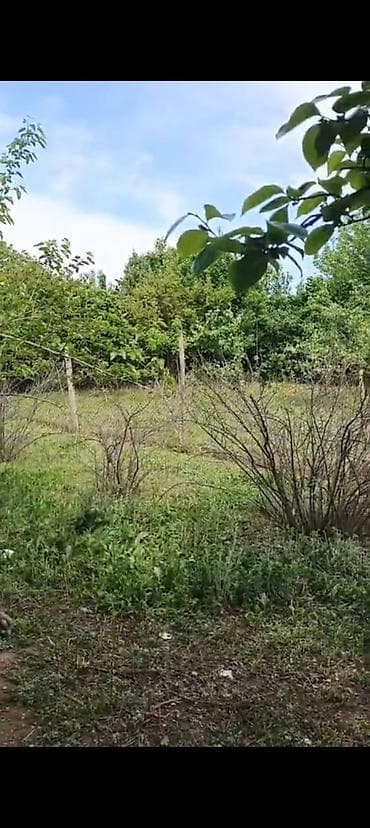 təmirli mənzillərin satışı: 3 otaqlı, 150 kv. m, Kredit yoxdur, Təmirsiz — 8