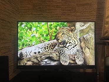 talberg tv: 22-23 Ekran Monitor - LED televizor/monitor, təxminən 22-23 düym ekran — 1