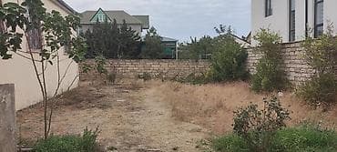 Torpaq: 8 sot, Tikinti, Kupça (Çıxarış) — 4