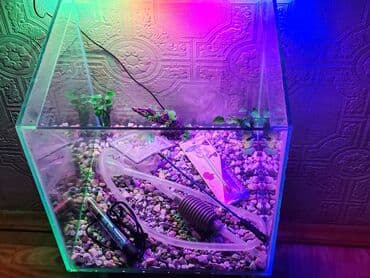 heyvan bazarı: Şüşə akvarium olcusu 40-40-40 elave seyleride var — 2