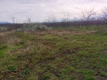 xacmaz rayonu qusarcay kendi: Kənd təsərrüfatı — 6