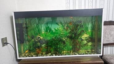 Dördbucaq akvarium, Balıqlarla birlikdə, 150 l, Ünvandan götürmə