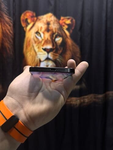 iphone 17 qiyməti: IPhone 15 Pro Max, 256 GB, Graphite, Simsiz şarj — 4