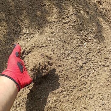 dibcək gulləri ev gulleri ve adlari: Toz halinda mal peyini - kisesi 2,60 q. ( boyuk kepek kisesinde) — 9