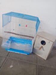 qus qefes: Papuqay qəfəsi az müddət istifadə olunub üstündə taxta yuvası da — 5