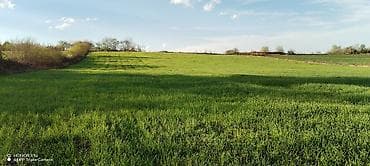 20 yanvar kiraye ev: Tikinti, Mülkiyyətçi — 10