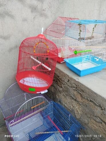 аксессуары для клетки попугая: Papuqay aksesuarlari qefesler — 2