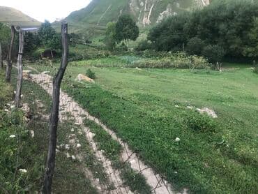 memar ecemi kiraye ev: 5 sot, Tikinti, Maklerlər narahat etməsin, Kupça (Çıxarış) — 6