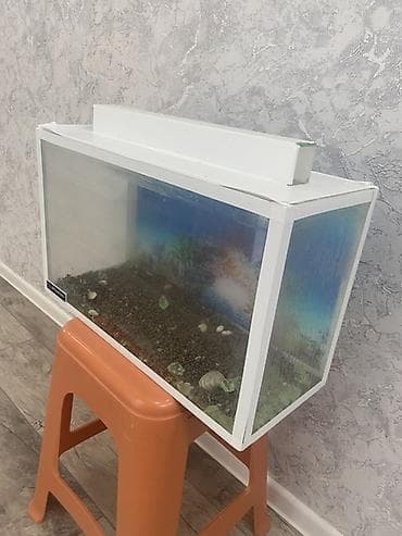 Dördbucaq akvarium, Boş, 20 l, Ünvandan götürmə