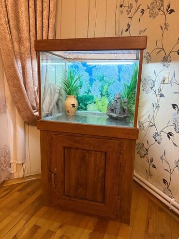купить аквариум в баку: Akvariumlar boyuk-400.Balaca-300 — 3