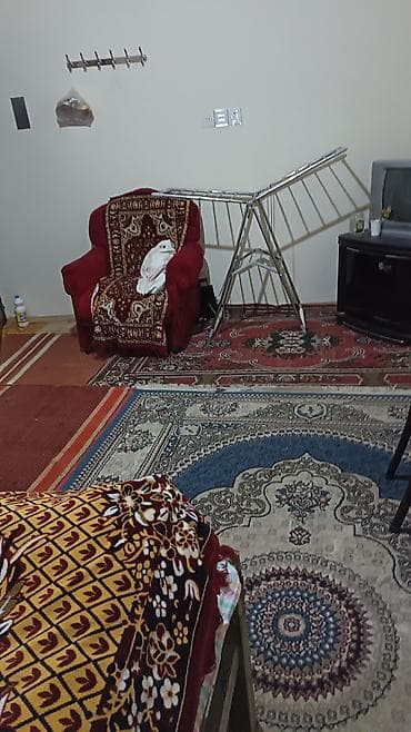 ucuz kiraye evler 2025: 1otaq 1kuxna unvan masdaga — 4