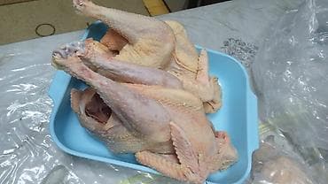 doner eti: Məhsul:super saxlamalı serbirist cucələrdir.2 ay yarimligdir qiyməti — 5