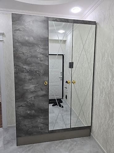 3 qapılı, Güzgülü, Boz, Digər material, Açılan, Düz dolab