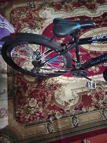 grand bicycle: ÇOX ƏLA VELOSİPED 5 CƏ GÜN SÜRÜLÜB 26 LIQ ALİMİNUM RAMA ELEKTRİKLU — 6
