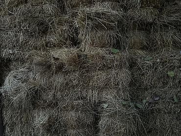 Heyvanlar üçün mallar: Salam. Yonca qarışıq ot presləridir. Bağlı yerdə saxlanılıb, göyləri — 2