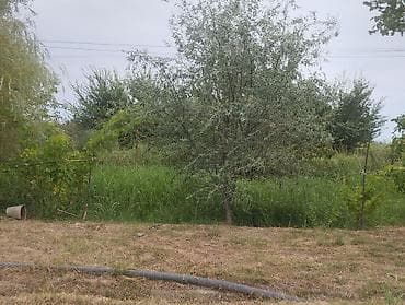 torpaq satilir type 1: 157 sot, Kənd təsərrüfatı, Kupça (Çıxarış), Texniki pasport — 5