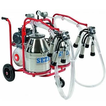 Cüt bidon, Türkiyə, Paslanmaz bidon lalafo.az -da Cüt bidon, Türkiyə, Paslanmaz bidon