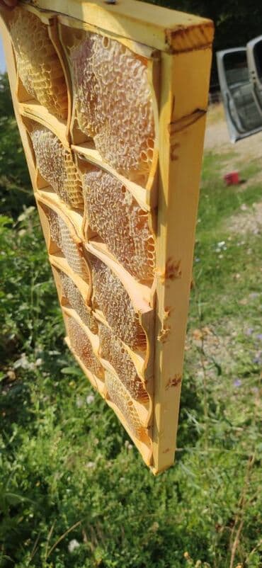 продается мед: ELF BEE'S 1977 ECO-PRODUCT FOR HEALTH AND LONGEVITY Tovuzun — 11