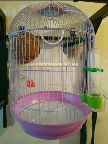 Dairəvi formalı quş qəfəsi, yüngül bənövşəyi rəngdədir və çəhrayı alt lalafo.az -da Dairəvi formalı quş qəfəsi, yüngül bənövşəyi rəngdədir və çəhrayı alt