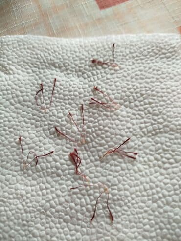 salfet: Quru meyvələr — 9