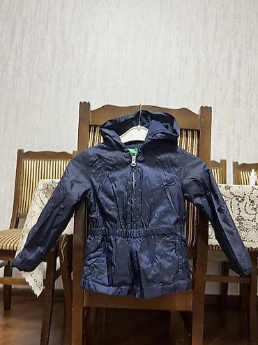 Kurtkalar lalafo.az -da Kurtkalar